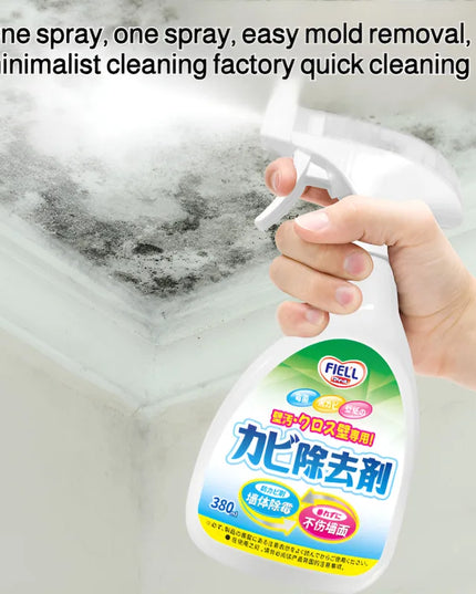 Easy Mold Eraser Spray