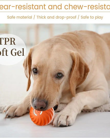 Interactive Puppy Play Ball