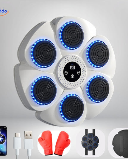 BoxPro Interactieve Boksmachine