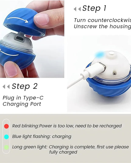 Interactive Puppy Play Ball