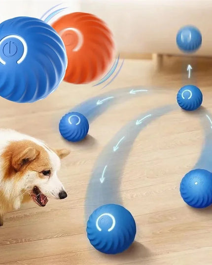 Interactive Puppy Play Ball