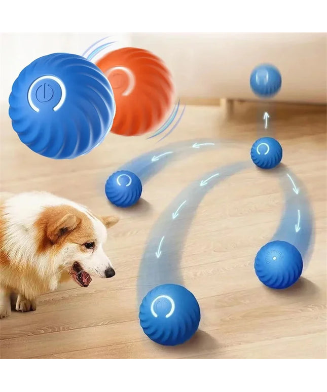 Interactive Puppy Play Ball