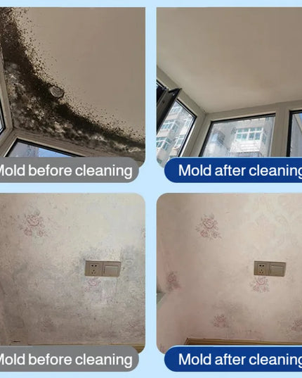 Easy Mold Eraser Spray