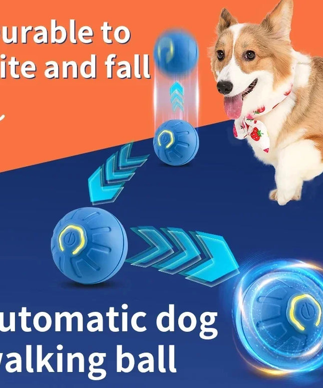 Interactive Puppy Play Ball