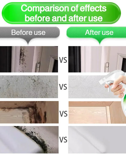 Easy Mold Eraser Spray