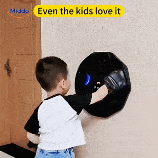 BoxPro Interactieve Boksmachine