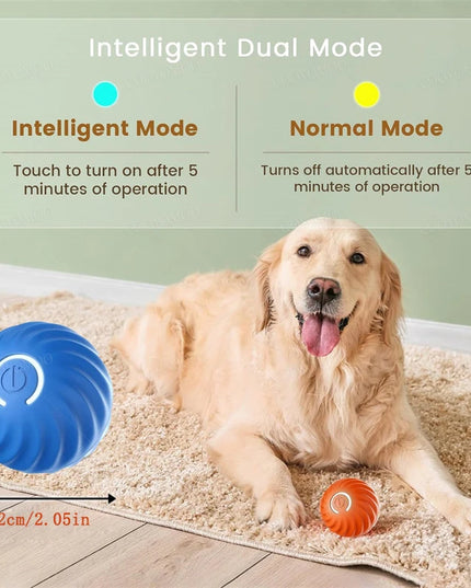 Interactive Puppy Play Ball