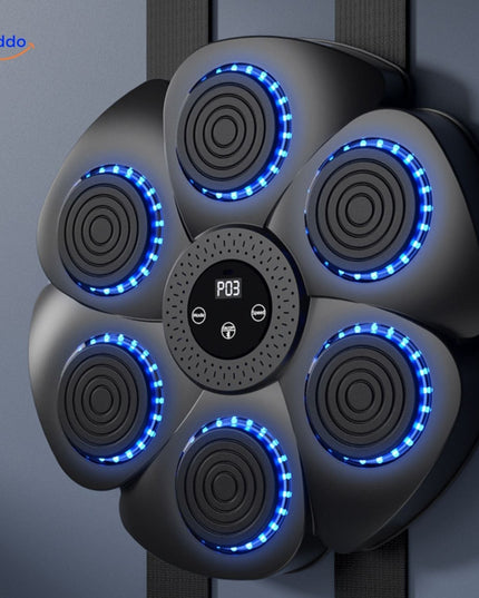 BoxPro Interactieve Boksmachine