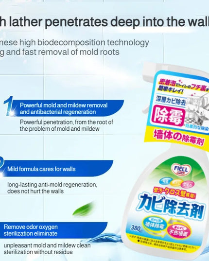 Easy Mold Eraser Spray