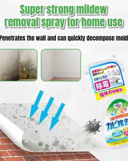 Easy Mold Eraser Spray