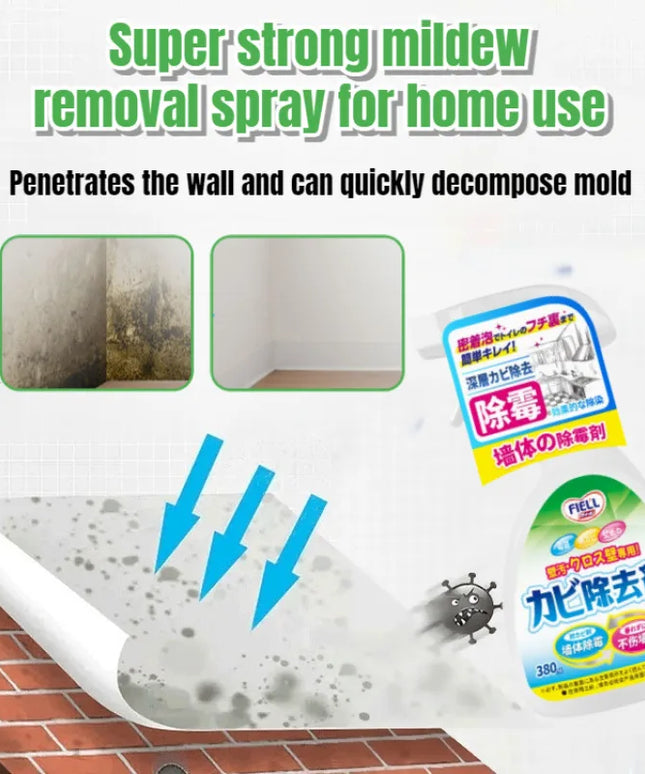 Easy Mold Eraser Spray