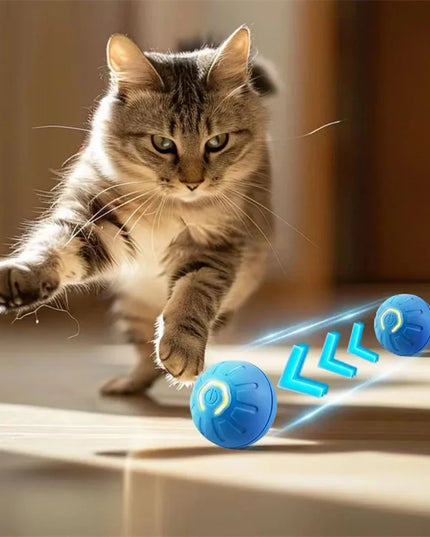 Interactive Puppy Play Ball