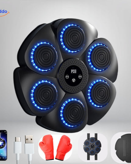 BoxPro Interactieve Boksmachine